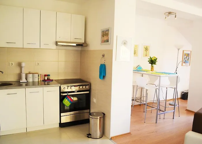 Felix Center Apartment *